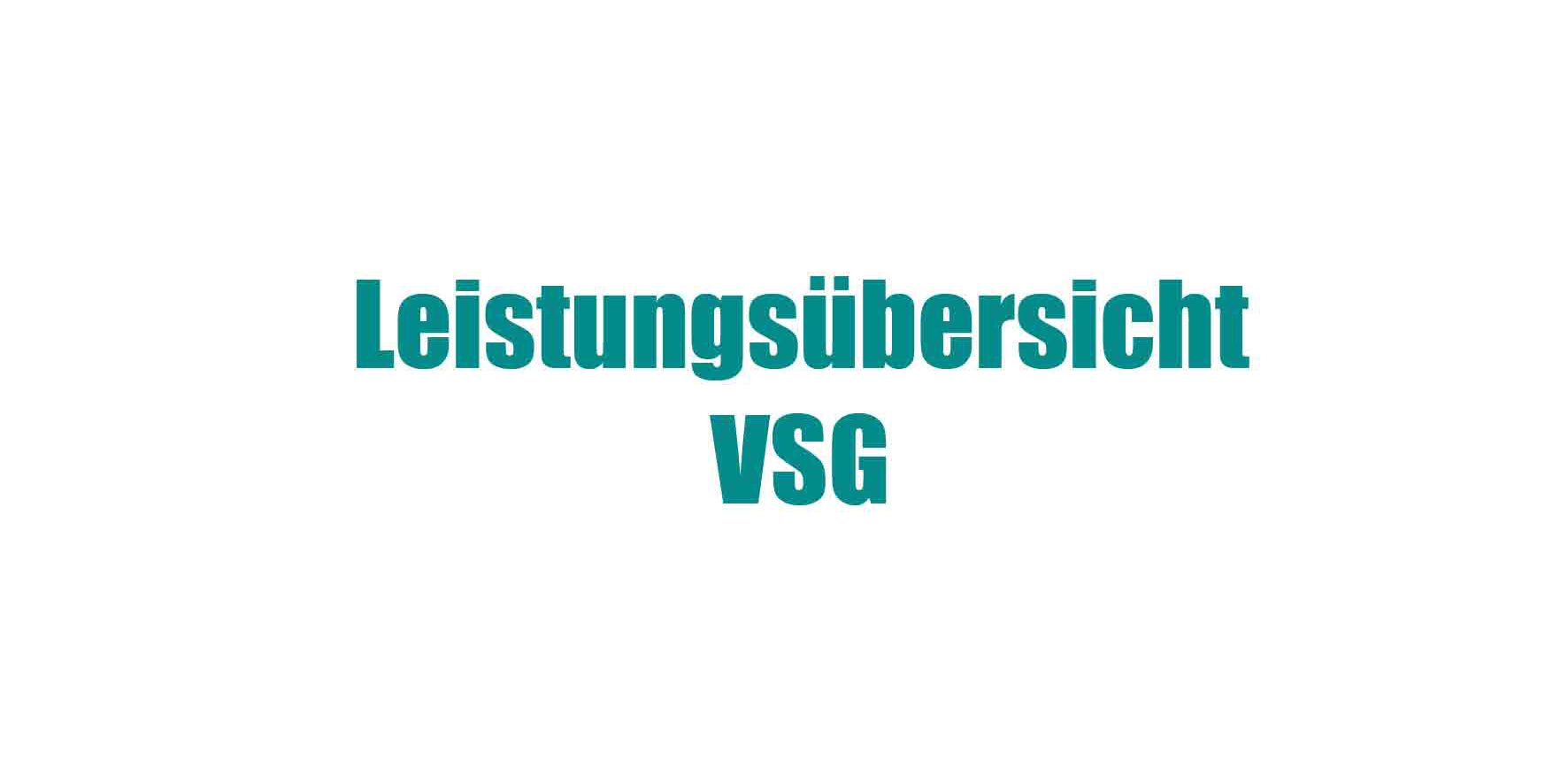Leistungsübersicht VSG