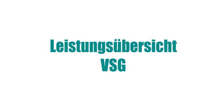 Leistungsübersicht VSG