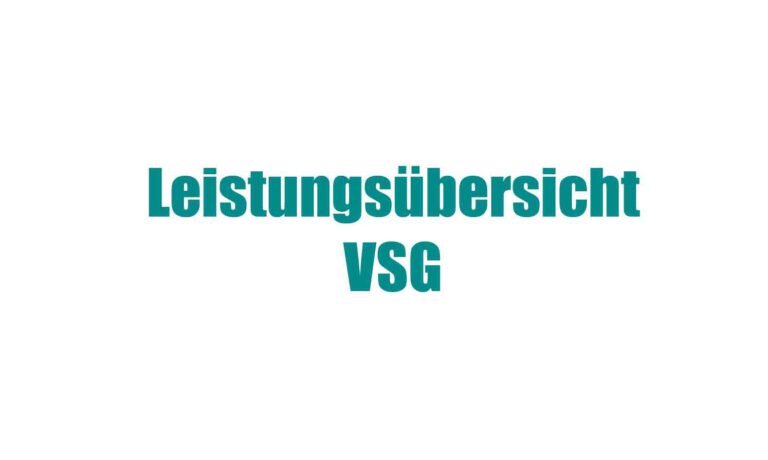Leistungsübersicht VSG