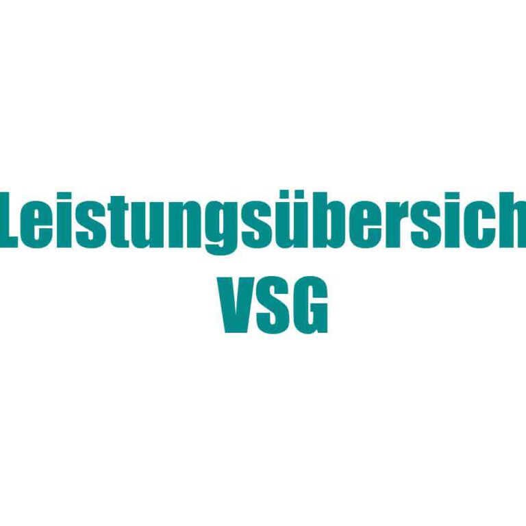 Leistungsübersicht VSG