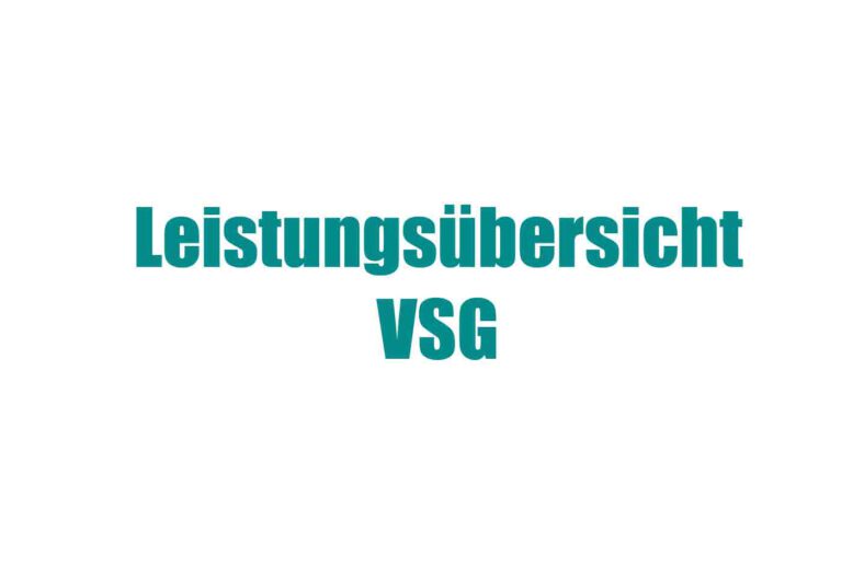 Leistungsübersicht VSG