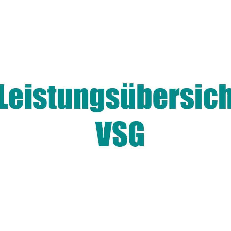 Leistungsübersicht VSG