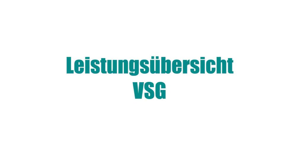 Leistungsübersicht VSG